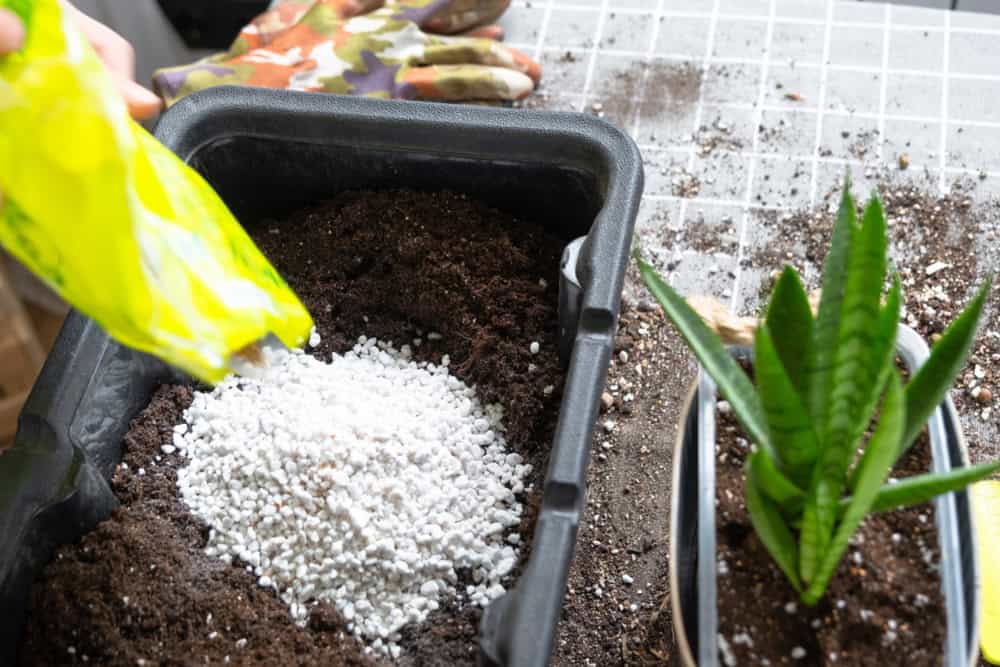 Perlite Mixed with Planting Soil