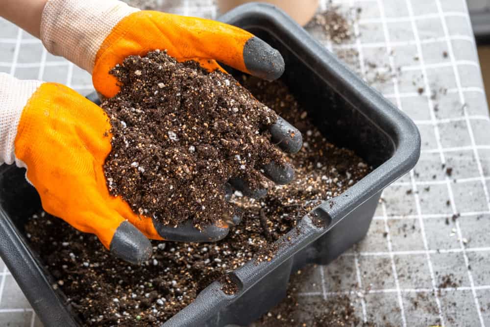 Soil Mixed with Perlite and Vermiculite